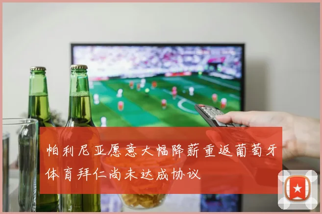 帕利尼亚愿意大幅降薪重返葡萄牙体育拜仁尚未达成协议